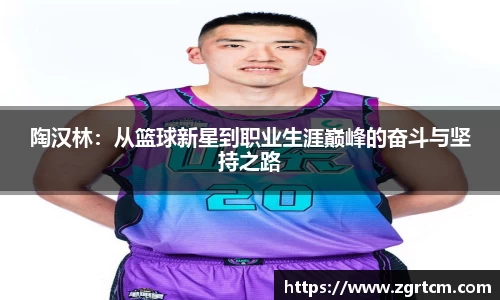 陶汉林：从篮球新星到职业生涯巅峰的奋斗与坚持之路