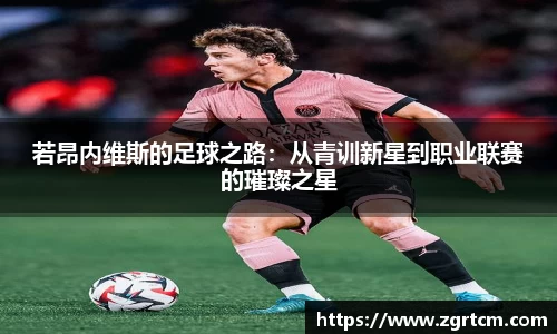 伟德bv国际